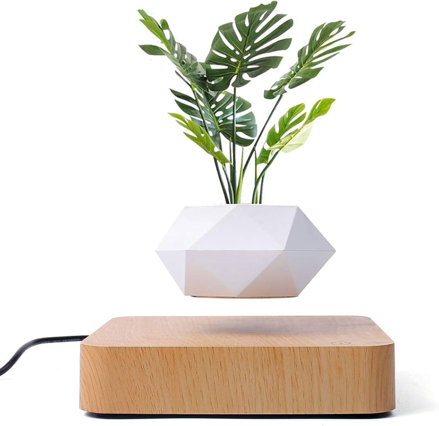 Ufo Plant
