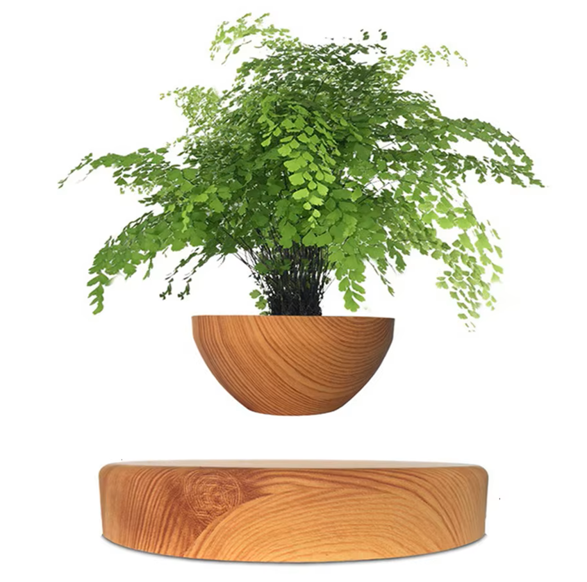 Ufo Plant