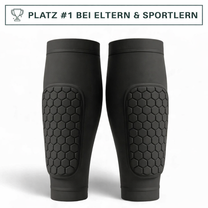 SchienenVerteidiger