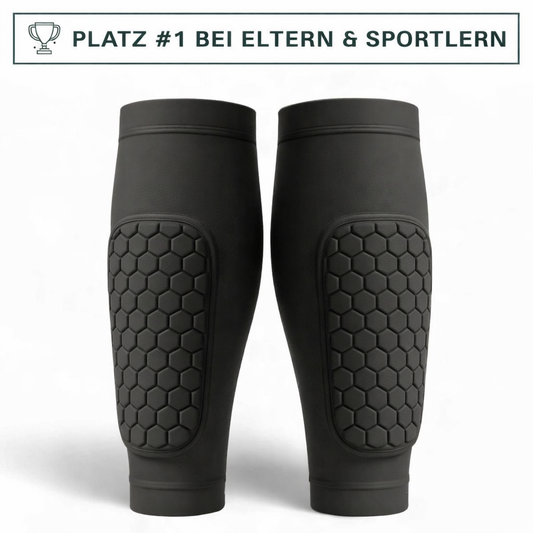 SchienenVerteidiger