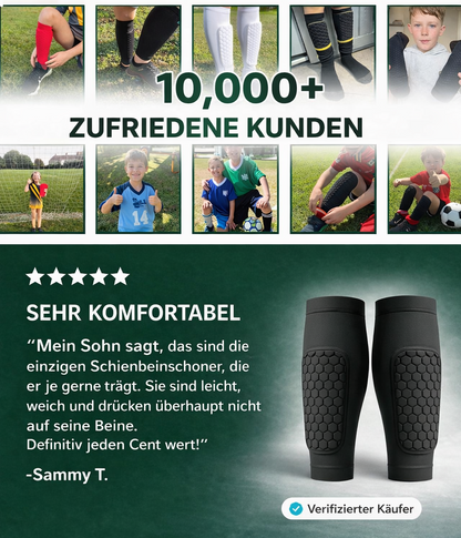 SchienenVerteidiger