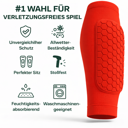SchienenVerteidiger
