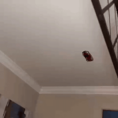 WallRacer