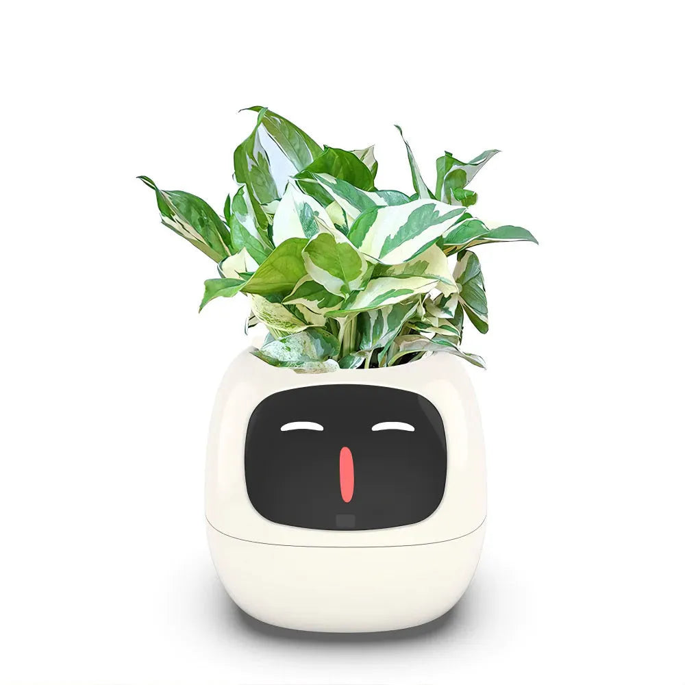 Ai Plant